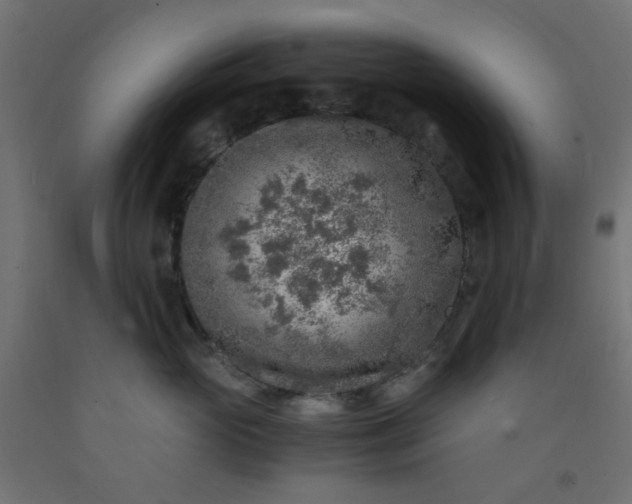 X0000093100765200710101537
