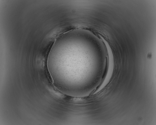 X0000093100766200710101537