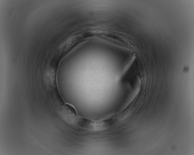 X0000093100767200710101537