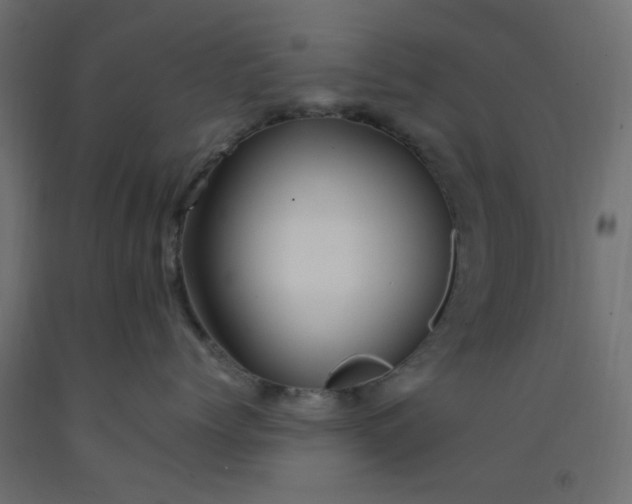 X0000093100768200710101537
