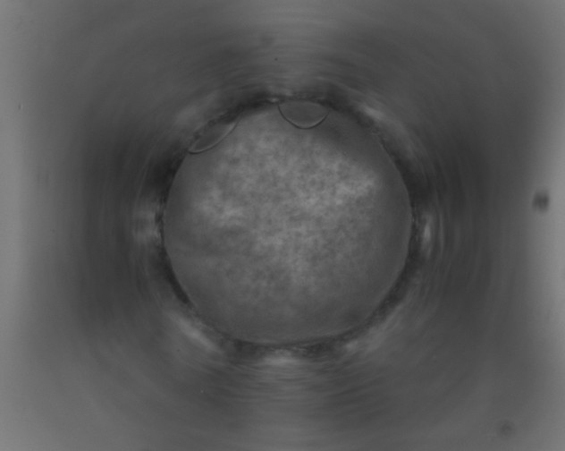 X0000093100770200710101537