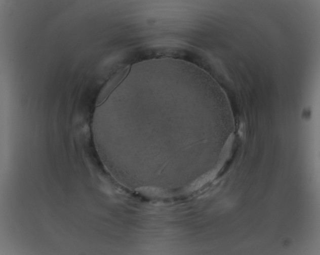 X0000093100771200710101537