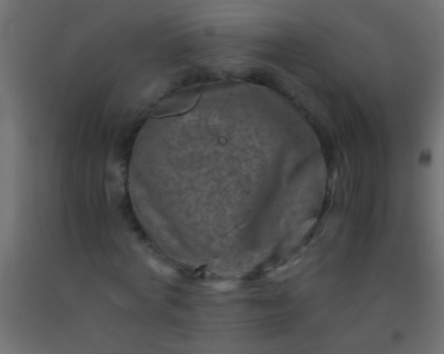 X0000093100772200710101537