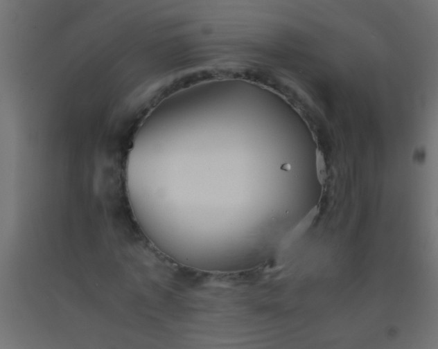 X0000093100773200710101537