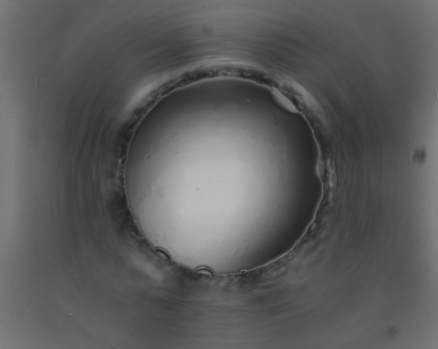 X0000093100775200710101537