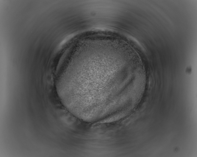 X0000093100776200710101537