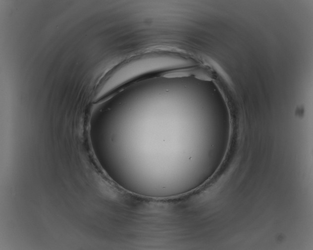X0000093100777200710101537