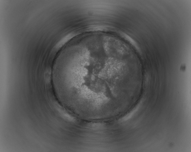 X0000093100778200710101537