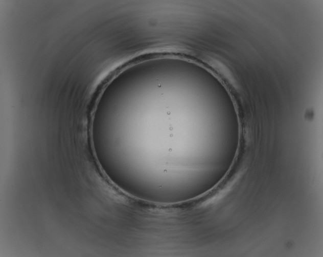 X0000093100781200710101537