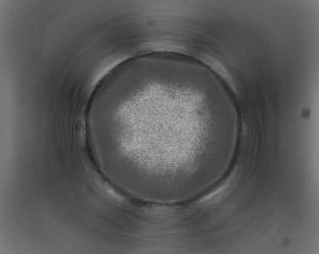 X0000093100782200710101537