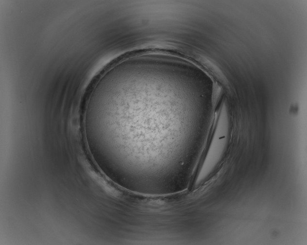X0000093100784200710101537
