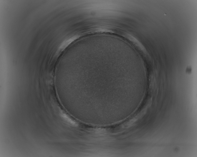 X0000093100785200710101537