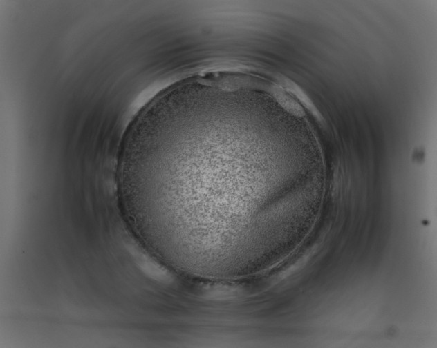 X0000093100786200710101537