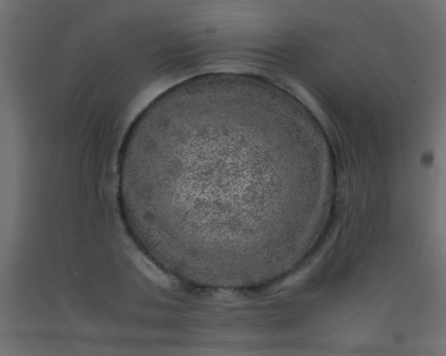X0000093100787200710101537