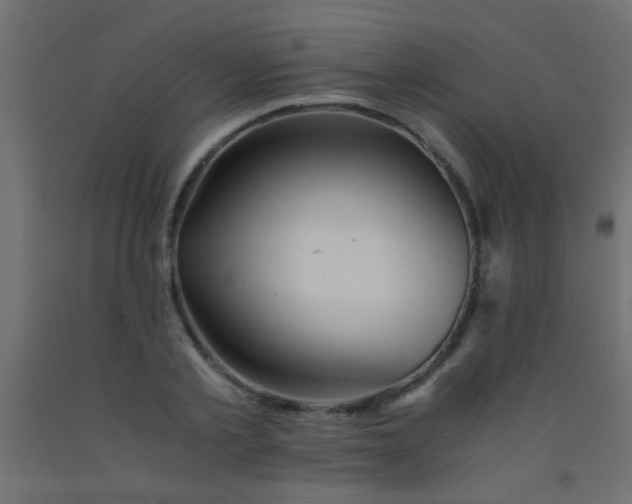 X0000093100789200710101537