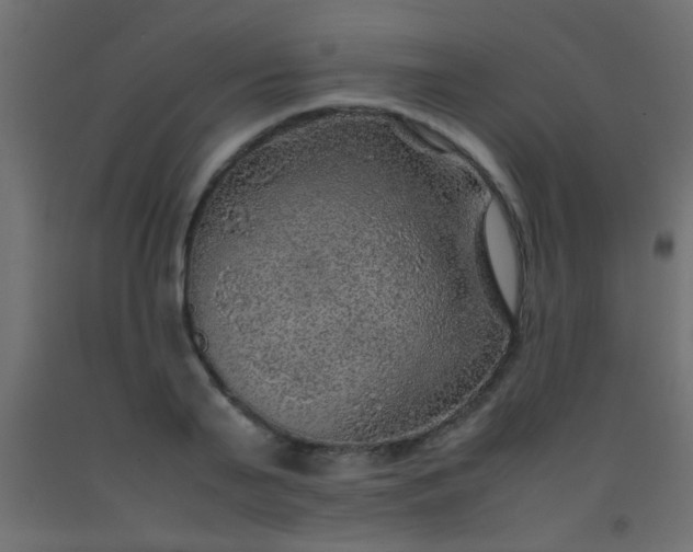 X0000093100791200710101537