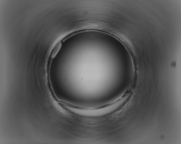 X0000093100792200710101537