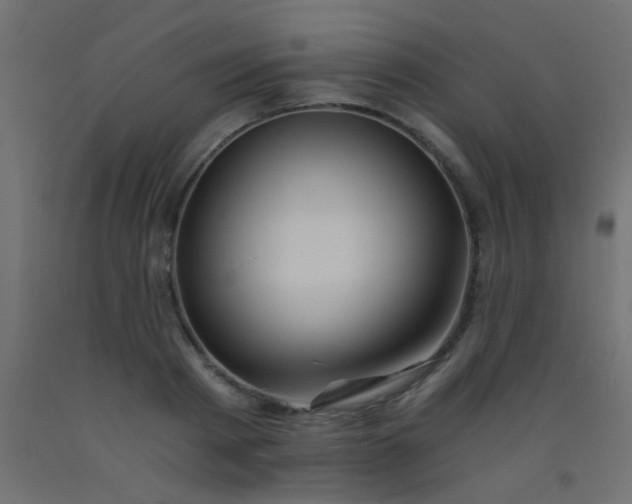 X0000093100793200710101537