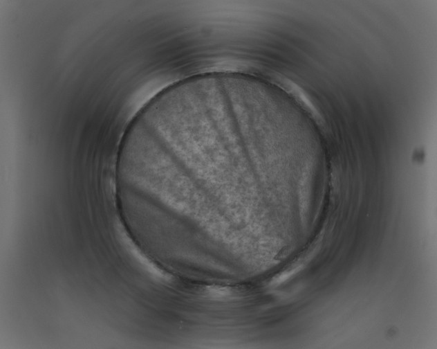 X0000093100794200710101537