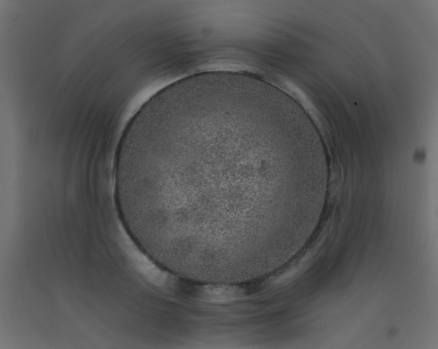 X0000093100795200710101537
