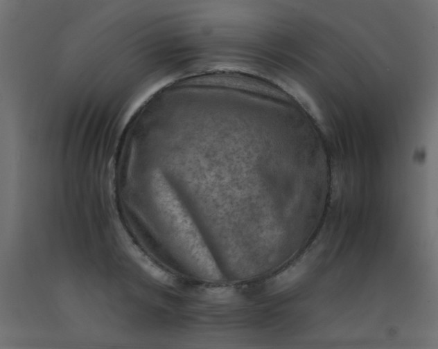 X0000093100798200710101537