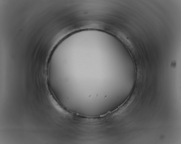X0000093100800200710101536
