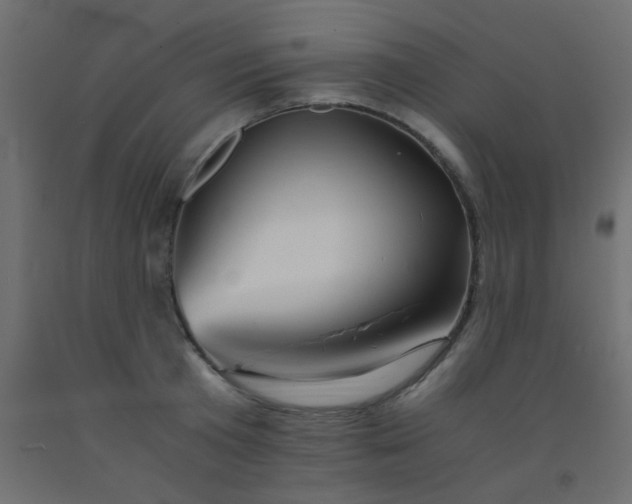 X0000093100801200710101536
