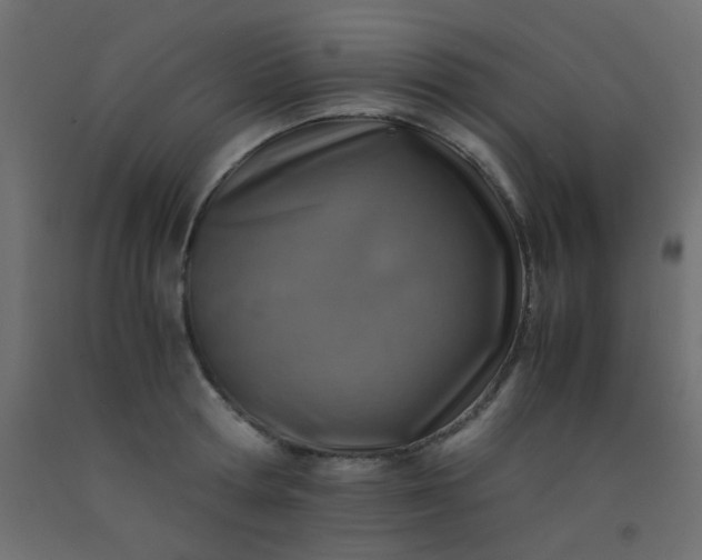 X0000093100802200710101536