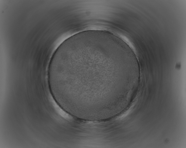 X0000093100803200710101536