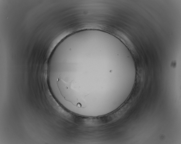 X0000093100804200710101536