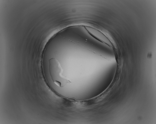 X0000093100805200710101536
