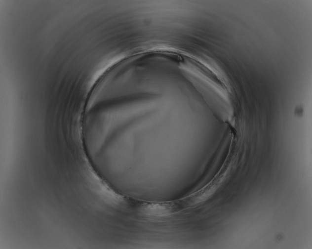 X0000093100806200710101536
