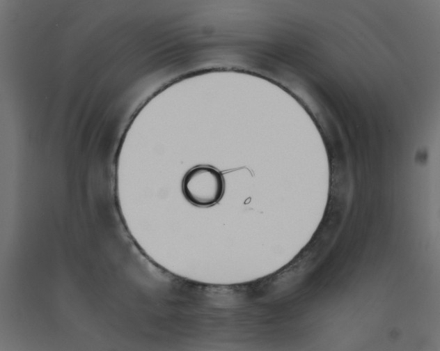 X0000093100807200710101536