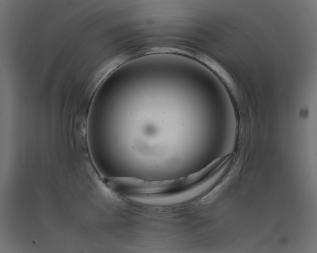 X0000093100809200710101536