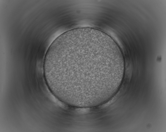 X0000093100810200710101536