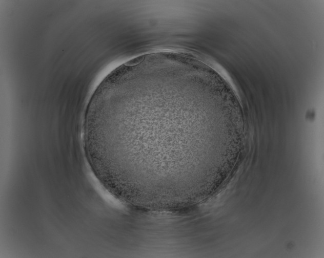X0000093100811200710101536