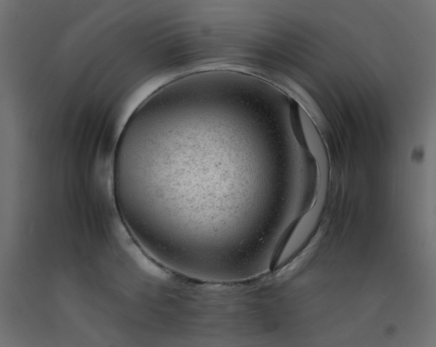 X0000093100812200710101536