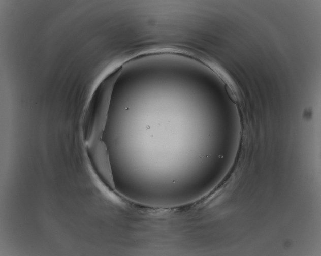 X0000093100813200710101536