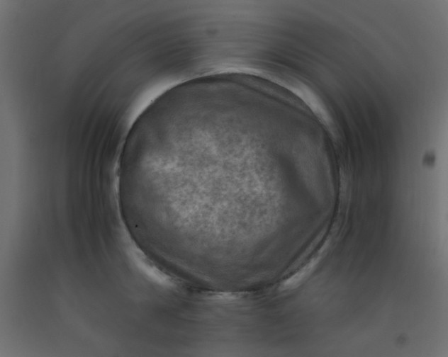 X0000093100814200710101536