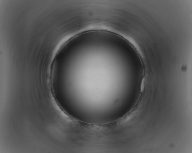 X0000093100815200710101536