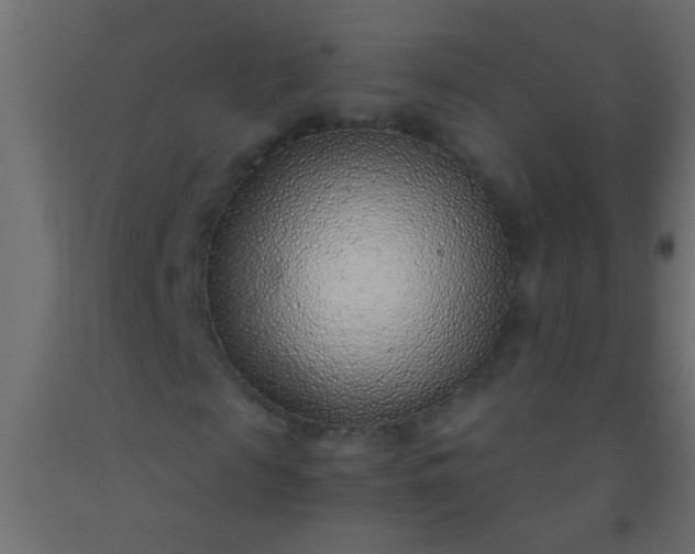 X0000093100817200710101536