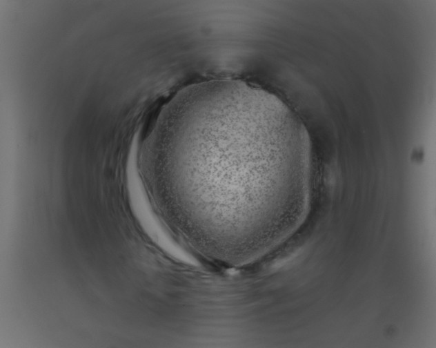 X0000093100818200710101536
