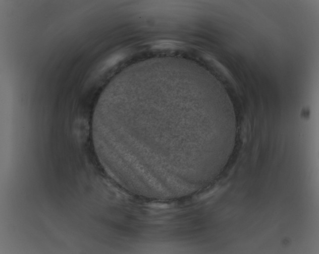 X0000093100821200710101536