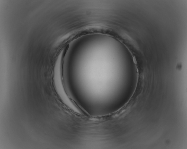 X0000093100822200710101536