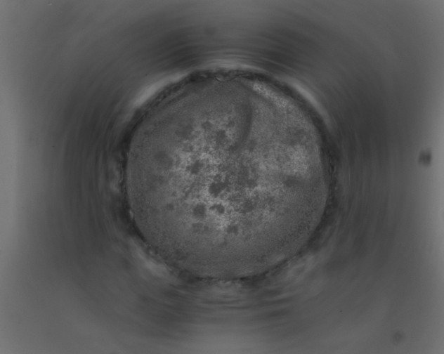 X0000093100823200710101536