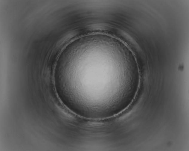 X0000093100825200710101536