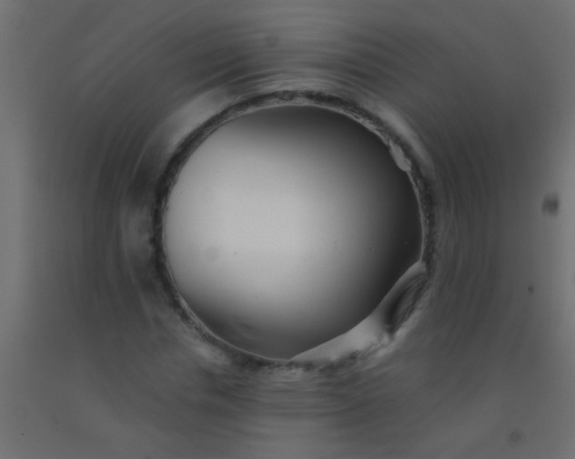 X0000093100826200710101536