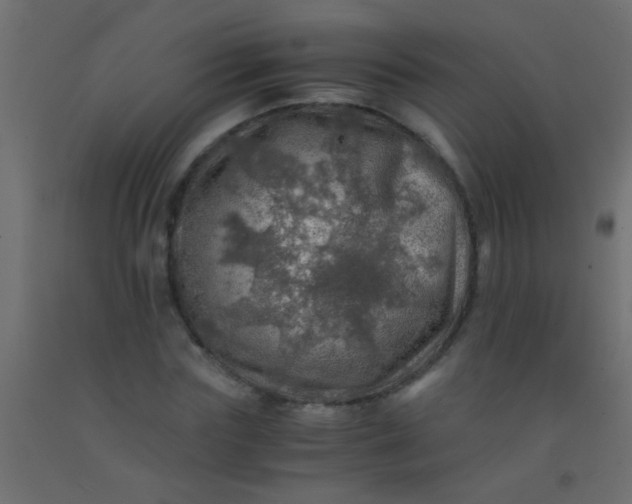 X0000093100827200710101536