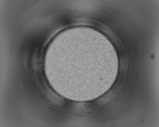 X0000093100828200710101536