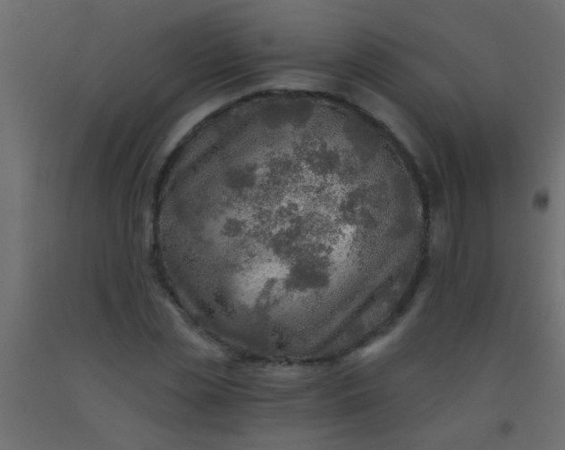 X0000093100829200710101536